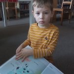 phoca_thumb_m_knihovna 49 Fotogalerie